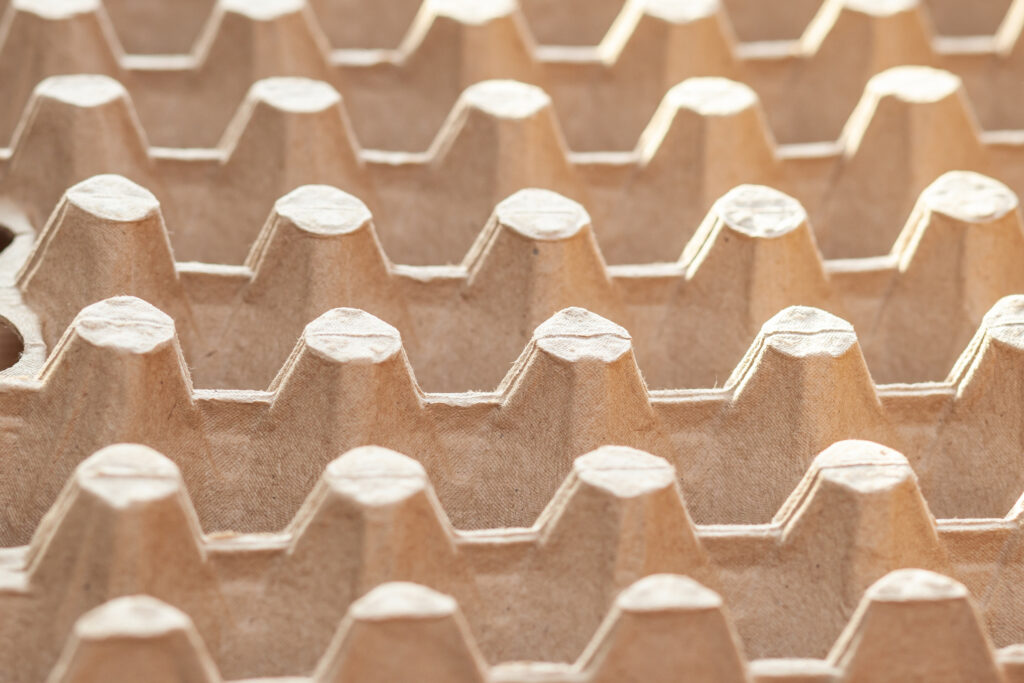 We transform post-industrial fiber waste into precision-molded pulp packaging that protects products and the planet. Our integrated process delivers sustainable & cost-effective solutions without compromising quality.